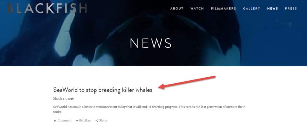 Seaworld Online News Example